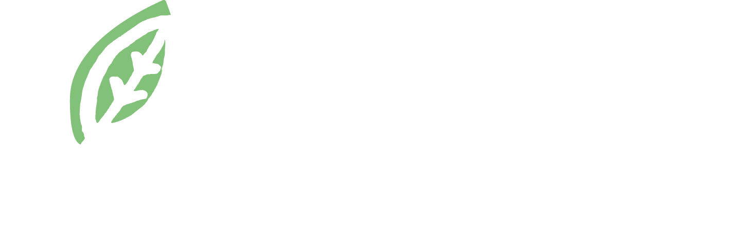 Forestal Casino